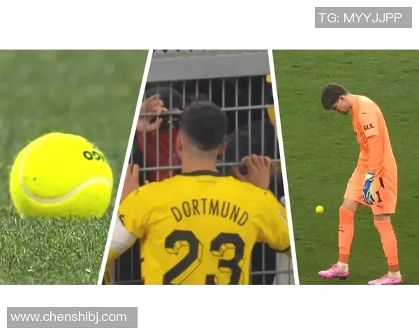 南京网球队状态引发热议球迷对表现和战术产生分歧