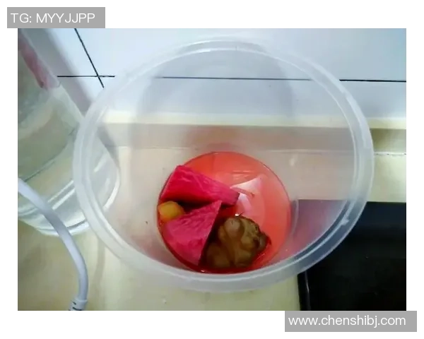 足球明星亲手制作的独特泡菜盒子让你大开眼界的美味体验