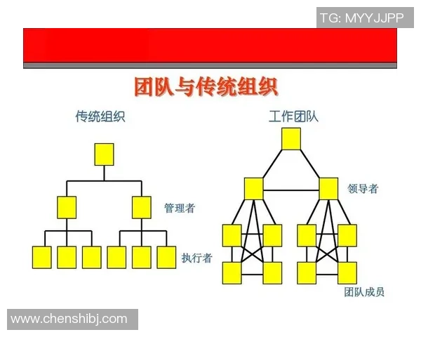 上海篮球队阵地战革新探索：战术创新与团队协作的完美结合