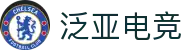 泛亚电竞·(中国区)电子竞技平台